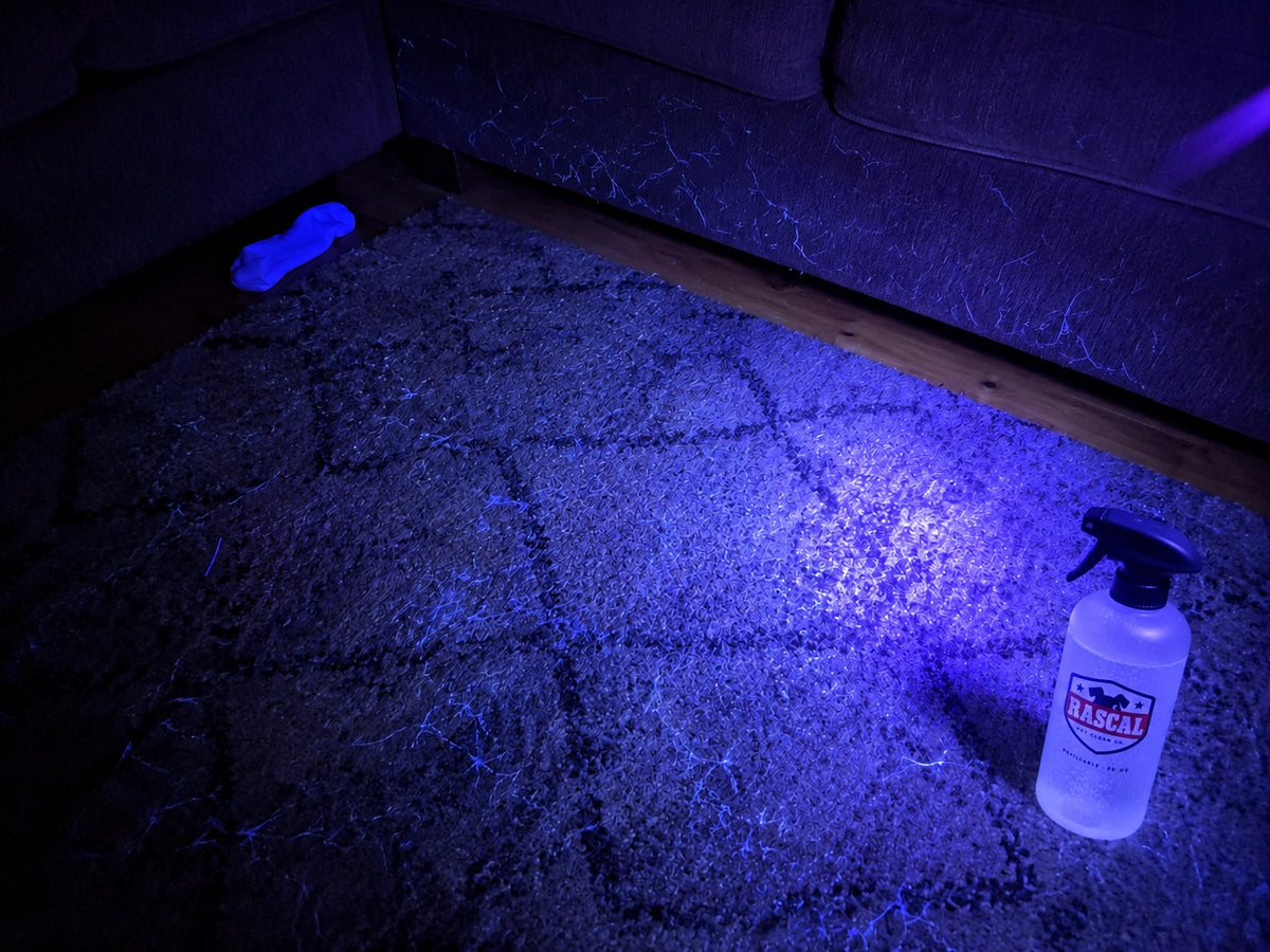 Rascal Stain & Odor Remover