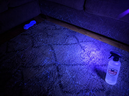Rascal Stain & Odor Remover