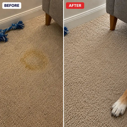 Rascal Stain & Odor Remover